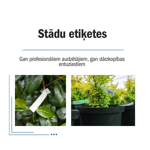 Stādu etiķetes